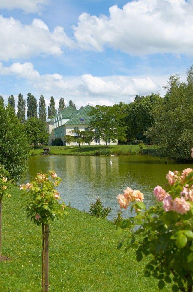 Hotel Restaurant Le Rive Gauche Joigny Exteriör bild